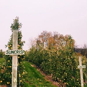 Meet your Posher, Ella